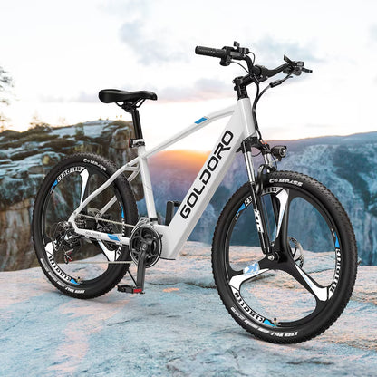 26-In Adult Unisex E-Bike